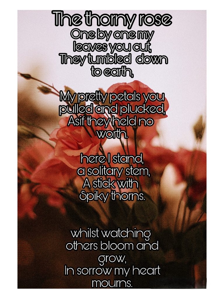 Read more about the article National Poetry Day – Poems from Local Women Part Two